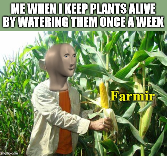 farmin